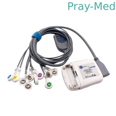 Borsam Holter Ecg Cable 10 লিড গ্রে 2m Bs6930 BS6930-3 এর জন্য সামঞ্জস্যপূর্ণ